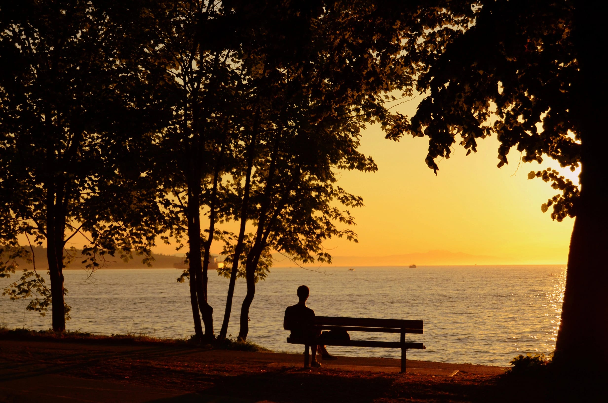 Person sitting alone on a bench at sunset among trees, symbolizing reflection, healing, and hope for survivors of institutional abuse.