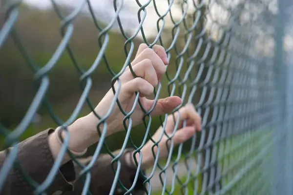 New Hampshire Survivors of Institutional Abuse